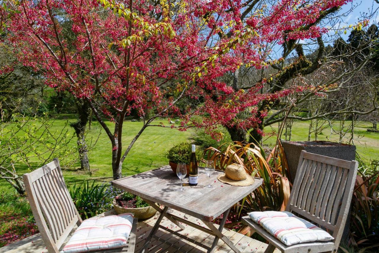 Hare'S Rest Taupo Exterior foto