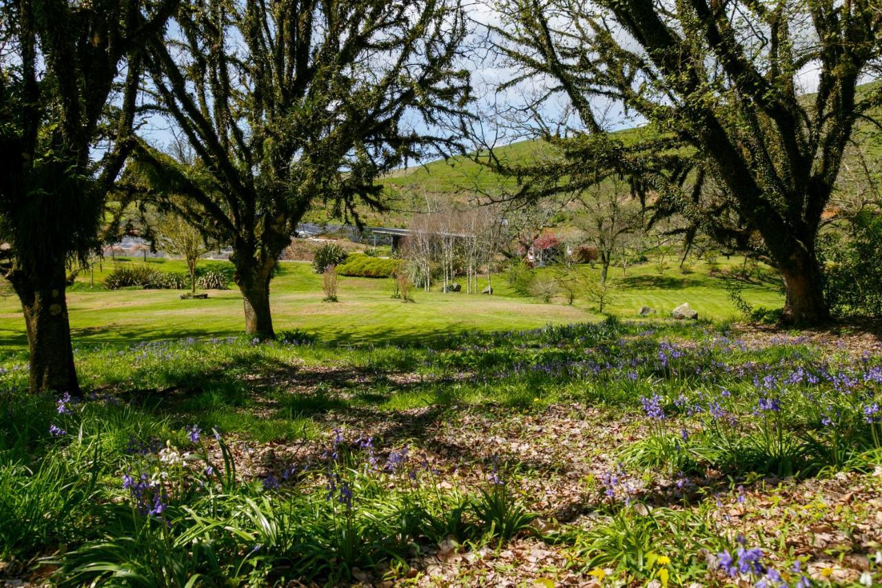 Hare'S Rest Taupo Exterior foto